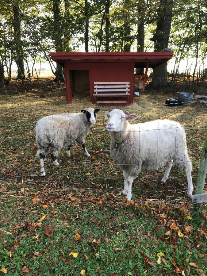Rosloevs Gard Vackert Boende I En Naturskoen Miljoe. Flyinge Exterior foto