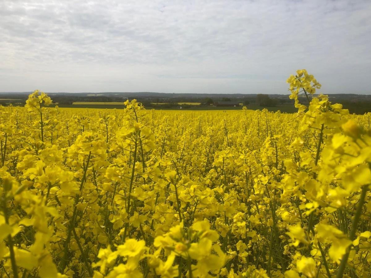 Rosloevs Gard Vackert Boende I En Naturskoen Miljoe. Flyinge Exterior foto