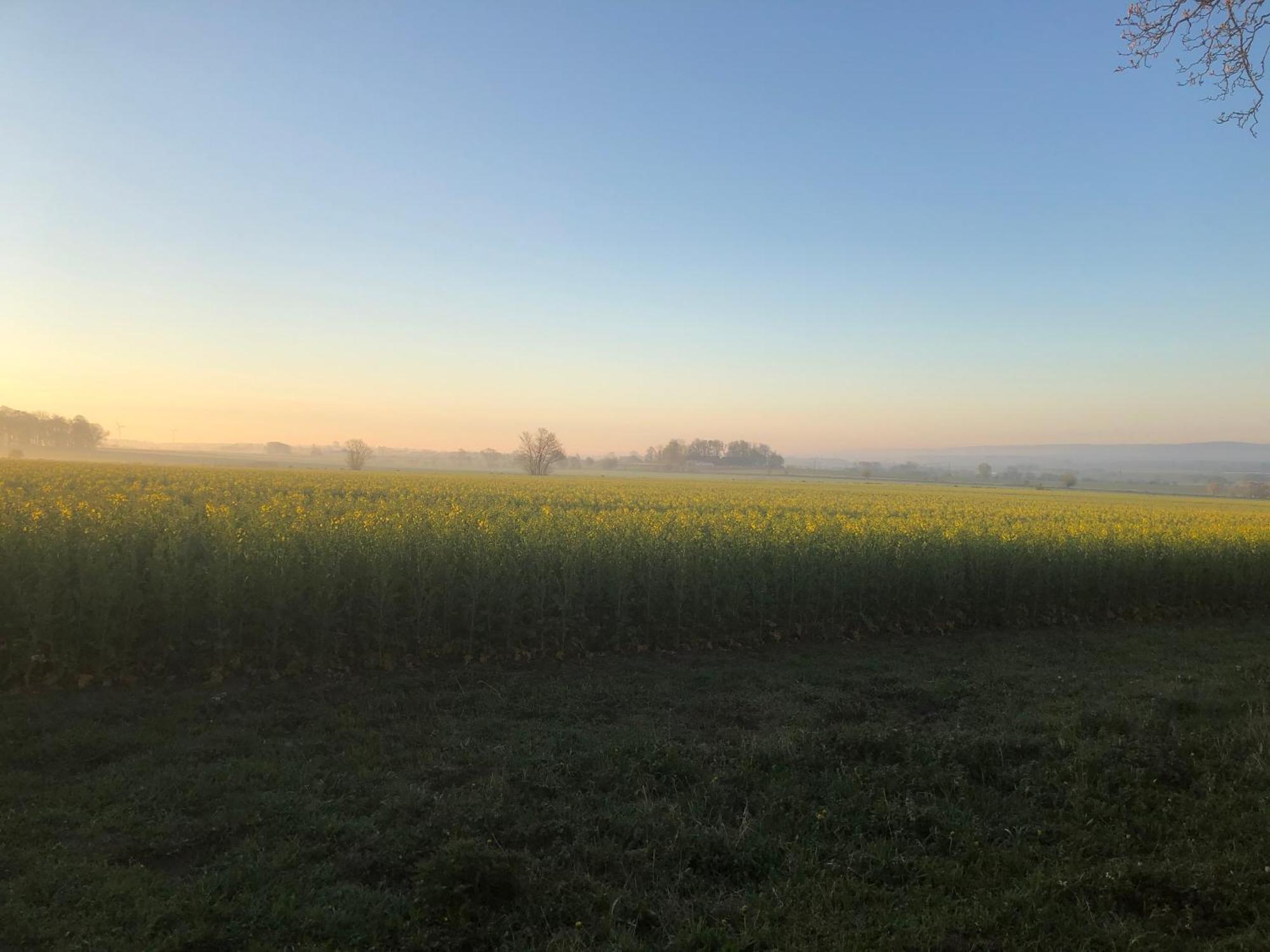Rosloevs Gard Vackert Boende I En Naturskoen Miljoe. Flyinge Exterior foto